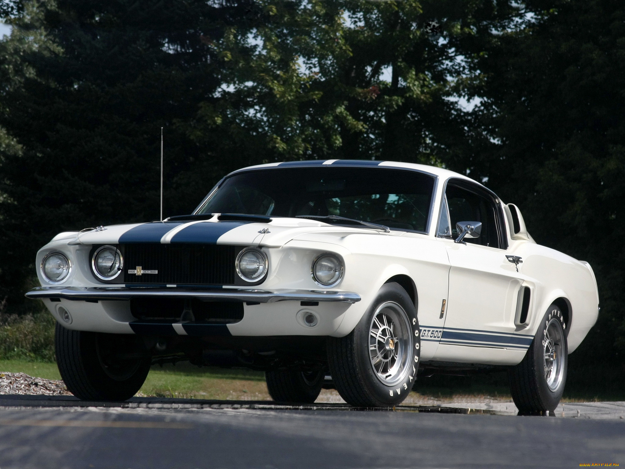 shelby, gt500, , mustang